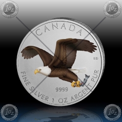1oz KANADA $5 Birds of Prey "BALD EAGLE" 2014 - BARVNI